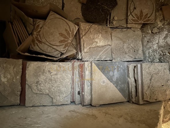 Antica abitazione con giardino_ ANTICHE CEMENTINE