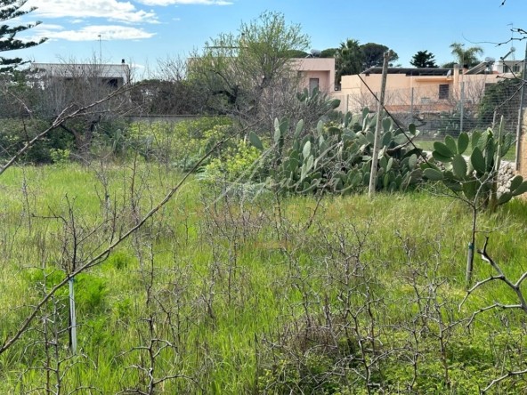 Antica abitazione con giardino_ GIARDINO 2