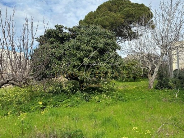 Antica abitazione con giardino_ GIARDINO 4