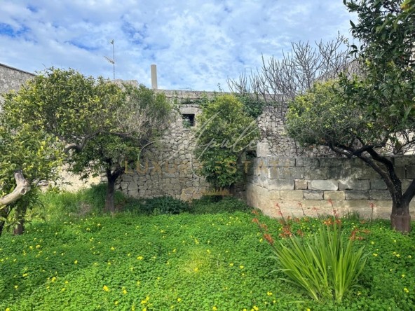 Antica abitazione con giardino_ GIARDINO 5