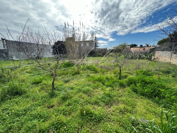 Antica abitazione con giardino_ GIARDINO