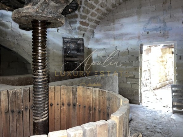 Casolare S.Cesario 12