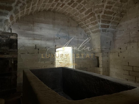 Casolare S.Cesario 14