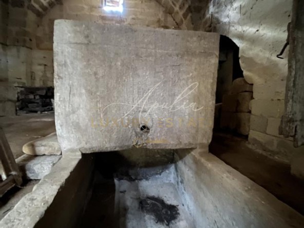 Casolare S.Cesario 19