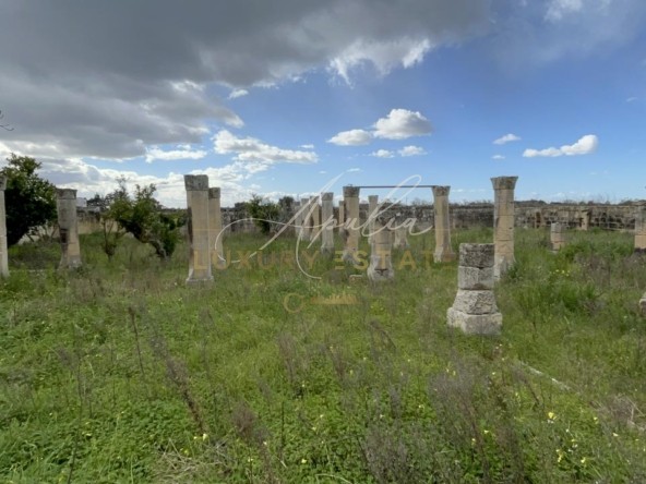 Casolare S.Cesario 33