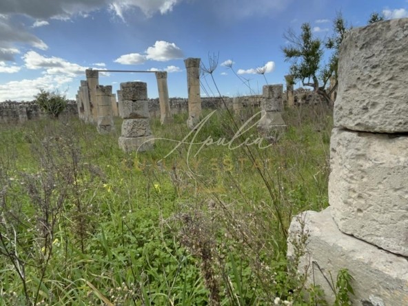 Casolare S.Cesario 34