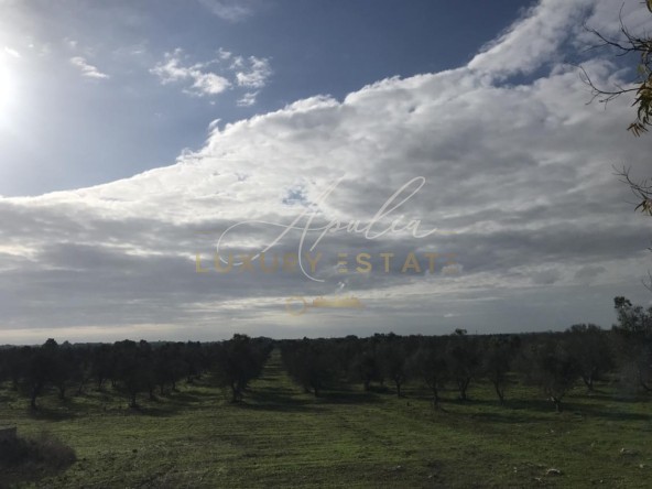 Masseria 2 Lecce_32