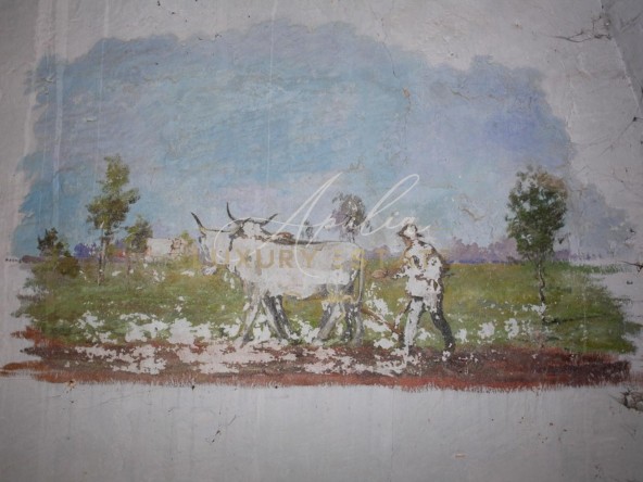 Masseria Lecce_ PITTURA ARATURA