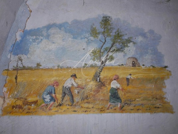 Masseria Lecce_ PITTURA LAVORO CAMPI