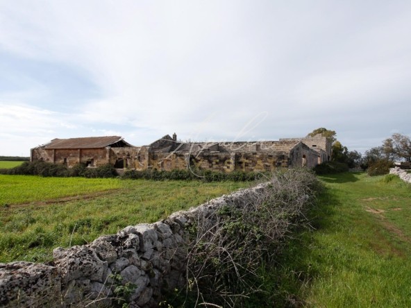 Masseria Lecce_ VIALE LATERALE