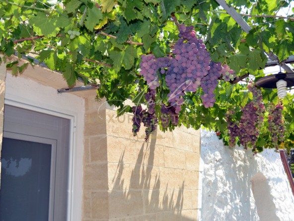 Villa Mel_29