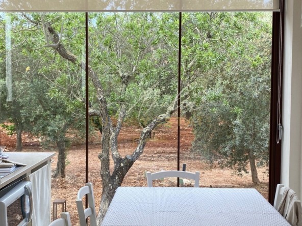 12Valle d'Itria villa con trullo