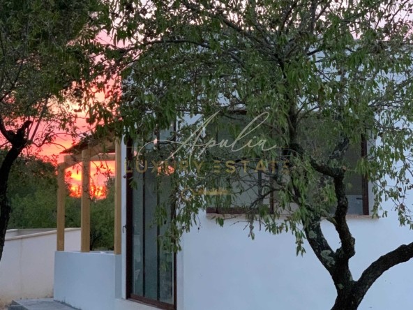 18Valle d'Itria villa con trullo