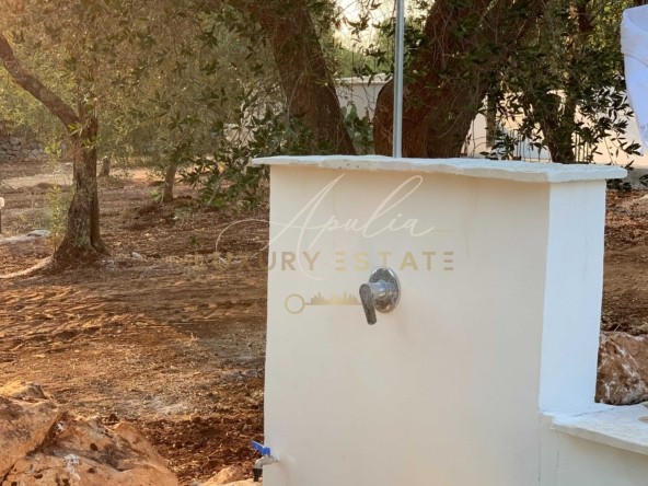 25Valle d'Itria villa con trullo