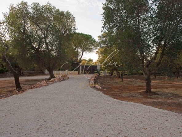 26Valle d'Itria villa con trullo