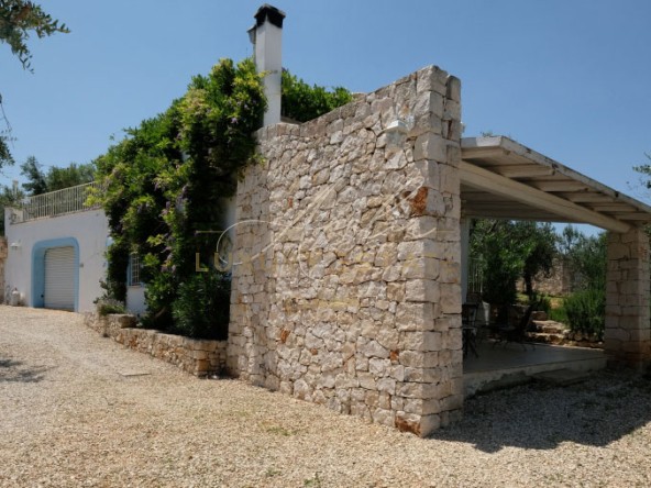 41 La Reginetta