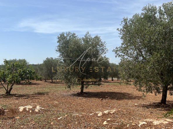 Trullo-Lanzi-7