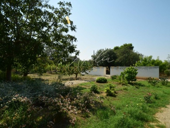 TORRE DELL'ORSO VILLA (2)