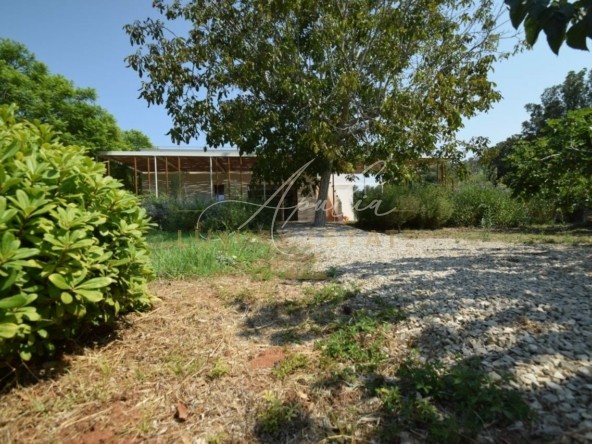 TORRE DELL'ORSO VILLA (27)