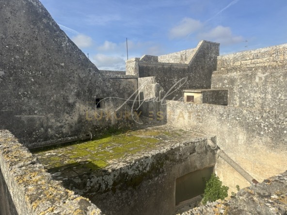 Palazzo Carpignano (15)