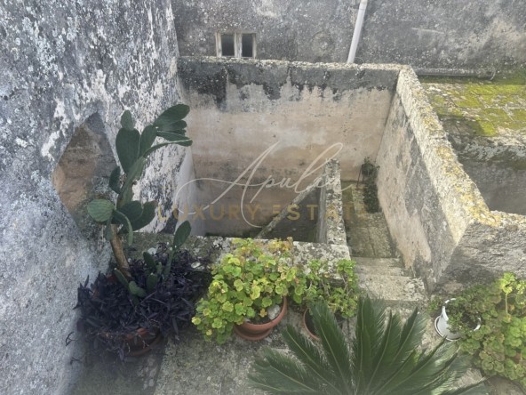 Palazzo Carpignano (258)