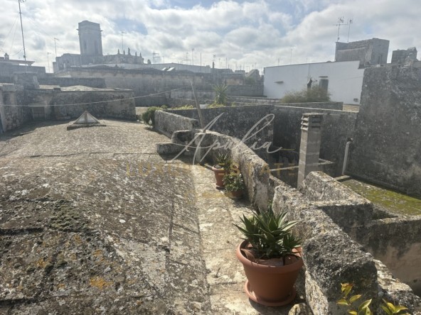 Palazzo Carpignano (267)