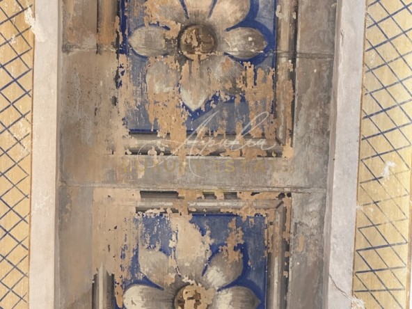 Palazzo Carpignano (37)