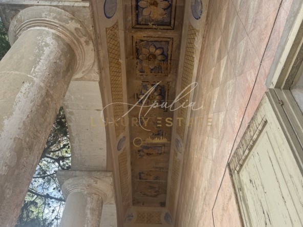 Palazzo Carpignano (40)