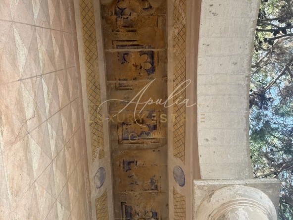 Palazzo Carpignano (45)