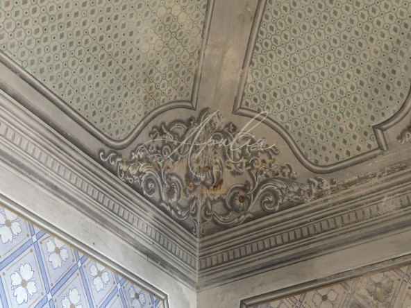 Palazzo Carpignano (56)