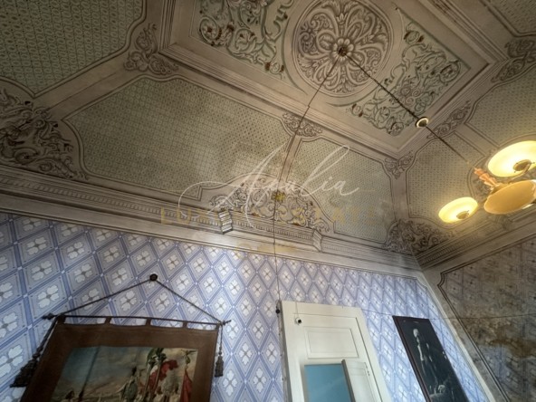 Palazzo Carpignano (58)