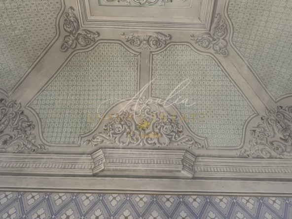 Palazzo Carpignano (61)