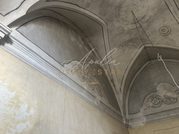 Palazzo Carpignano (87)